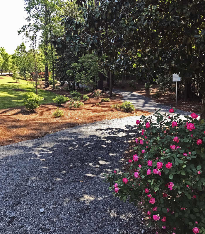South-Abernathy-Greenway-Park
