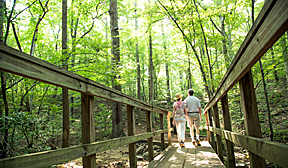 Trail Blazers Nature Walk at Big Trees