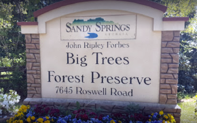 Trail Blazers to Tour Big Trees Forest Preserve in July