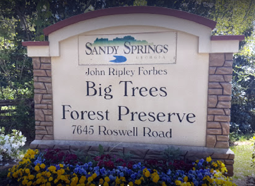 Trail Blazers to Tour Big Trees Forest Preserve in July