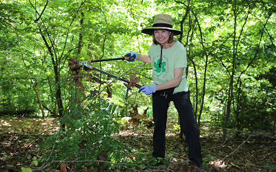 Volunteer Work Day Opportunity with SSC on Earth Day!