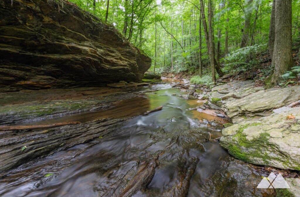 Explore the Johnson Ferry North trail!